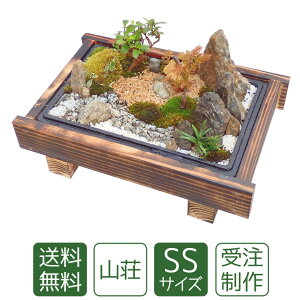 苔盆栽 ミニ庭園 山荘SS ギフト 誕生日プレゼント 送料無料