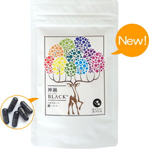 YJvZ Tv YpE_[ Hp `R[ Y NY 90 _BLACK 