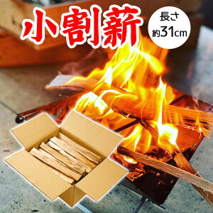 d 31cm 24cmȉ  ׊ tp \Lv Lt i _}LXg[u kikori 