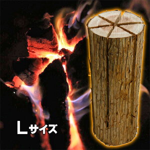 XEF[fg[` XEFfBbVg[` EbhLhiLj΍ޕt ɌY _甒YH[ 