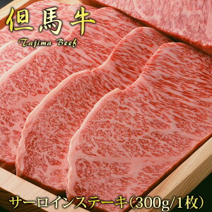 Ε An T[CXe[L ؂i300gj3 Mtg av[g ϔ Ⓚ 