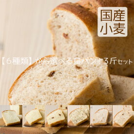 送料無料 天然酵母 食パン 選べる3斤 お試しセット