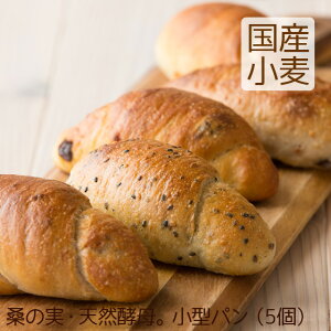 hV̓ VRy ^pi5j