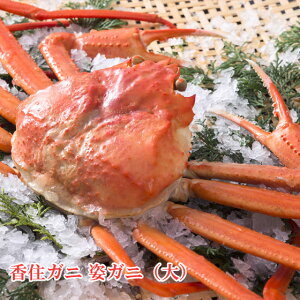 �x�j�Y���C�K�j �p�I 1kg�ȏ� �{�C�� �g�K�j ���Z���� �������X ���Z�I ��������