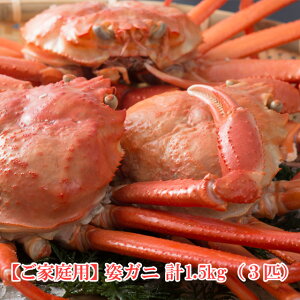 󂠂 xjYCKj pI v1.5kgi3Cj{C gKj Z ZI X 