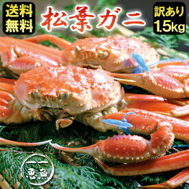 送料無料 松葉ガニ 訳あり 松葉がに 約1.5kg（2～3杯）津居山・柴山・浜坂産 産地直送 松葉がに まつばがに 松葉ガニ 松葉蟹 カニ ズワイガニ 津居山がに 山陰 日本海