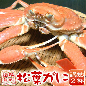 松葉がに 松葉ガニ 松葉蟹 訳あり 2杯(約1.2kg)兵庫県 津居山産 送料無料