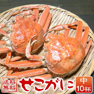 Ɂij10t ZRKj ZRI  e 󂠂 Ɍ ËRY