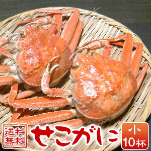 Ɂi10tjZRKj ZRI  e 󂠂 Ɍ ËRY 