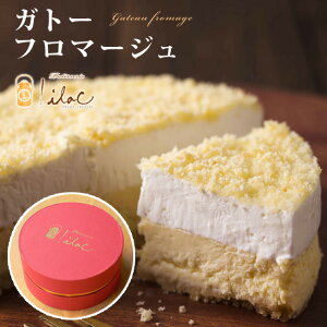 【お中元】ギフトチーズケーキガトーフロマージュ【送料無料】
