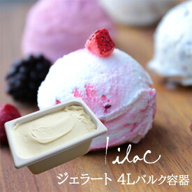アイスクリーム 4Lバルク容器 濃厚ミルクジェラート みるく 塩みるく バニラ チーズ ラムレーズン 黒豆きなこ 抹茶 チョコチップ バルクアイス 業務用 大人買い らいらっく