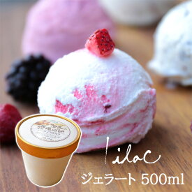 お中元 アイス 500ml アイスクリーム 濃厚ミルク ジェラート お徳用 夏ギフト 誕生日プレゼント らいらっく