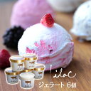 お中元 アイス らいらっく ジェラート アイスクリーム 6個セット 濃厚ミルク バニラ ラムレーズン 抹茶 黒豆きなこ カマンベールチーズ ギフト 誕生日プレゼント 送料無料