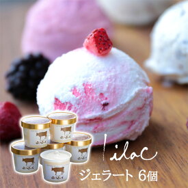 お中元 アイス らいらっく ジェラート アイスクリーム 6個セット 濃厚ミルク バニラ ラムレーズン 抹茶 黒豆きなこ カマンベールチーズ ギフト 誕生日プレゼント 送料無料