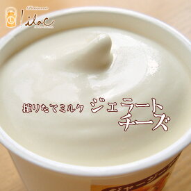 アイスクリーム 濃厚ミルクジェラート（チーズ）搾りたてジャージーミルク らいらっく