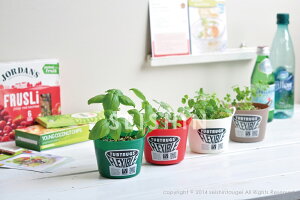 yVX[p[SALEΏ Ԍ ēב҂ ^uO[ TUB GREEN ^ugbOXňĂn[u͔|Zbg ͔|