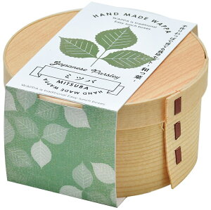 V| GD-95602 WAPPA at͔|Zbg ݂΁@{̎ȂςňĂ͔|Zbg ϗtA K[fjO ̓ ̓ CX^f 