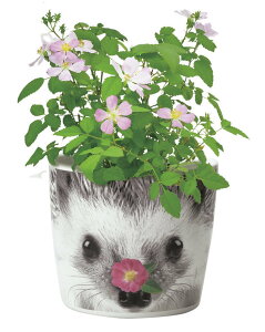 GD-85803 ni&Aj}Y nlY~ ~jo CeA ԍ͔|Zbg