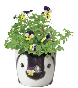 yVX[p[SALEΏ Ԍ ni&Aj}Y yM rI n[u͔|Zbg CeA