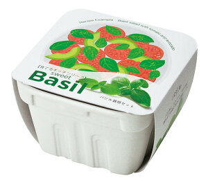 yVX[p[SALEΏ Ԍ ēב҂TfBAO[ oW CeA ؍͔|Zbg