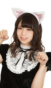 y[֑Ή1܂ŁzLJ`[V  ×sN   Aj} ǂԂ RXv ߑ ANZT[ RX`[  CX^f 