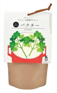 ĂX[v pN`[ V| Mtg ii ϗtA K[fjO Mtg ̓ ̓ CX^f 