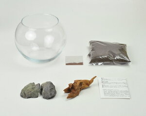 育てる水草(L)観葉植物ガーデニング聖新陶芸ギフトプレゼント景品