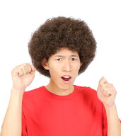【メール便対応1個まで】カツランド アフロ ブラウン アフロヘアー かつら ウィッグ コスプレ ナイトラン…