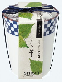 楽天市場 シソ 栽培キットの通販