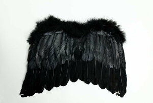 Vg̉H ubN Vg H Vt@[  nEB RX`[ RXv  ߑ CX^f 