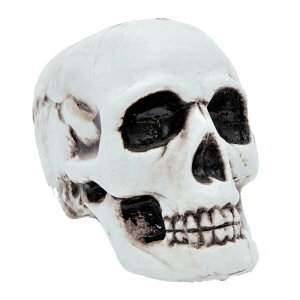 yVX[p[SALEΏ Ԍ W nEB u IuWF fBXvC o ̎    hN ꂱ