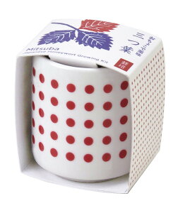 傱Ŗ򖡍͔|Zbg ݂t ͔|Zbg