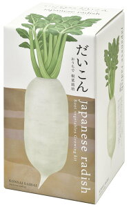 V| GD-89101 ō؍͔|Zbg  Mtg ϗtA CeAG ͔|Zbg K[fjO Mtg ̓ ̓ CX^f 