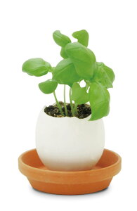 V| EG-5702 GbOO NApbP[W oW CeAG ͔|Zbg Mtg ϗtA K[fjO Mtg ̓ ̓ CX^f 