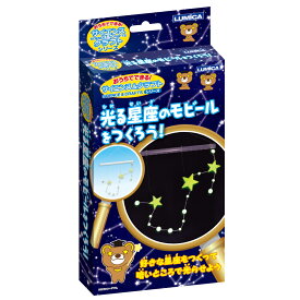 光る星座のモビールをつくろう！ おうちでできる！サイエンス&クラフトシリーズ 実験キット 工作 夏休み おもしろ実験 体験型学習 インスタ映え 推し