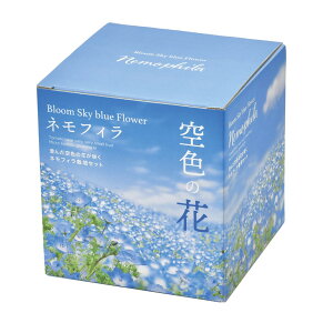V| GD-929 F̉ ltB͔|Zbg Sky blue Flower -Nemophila- ltB ͔|Zbg ϗtA K[fjO CeAG Mtg ̓ ̓ CX^f 