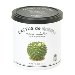 yVX[p[SALEΏ Ԍ V| GD-93001 JN^X de JN^X ۃT{e ϗtA ~jT{e ͔|Zbg ϗtA K[fjO CeAG Mtg ii Mtg CX^f