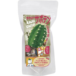 yVX[p[SALEΏ Ԍ GREEN TOY O[gC 킢T{e ybg{gňĂ͔|Zbg