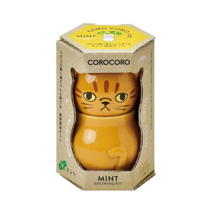 yVX[p[SALEΏ Ԍ V| RR Lbg /~g GD-102601 v[g ͔|ZbgMtg