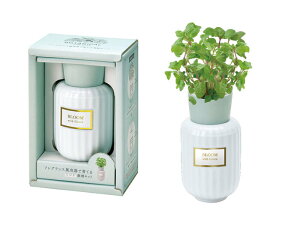 yVX[p[SALEΏ Ԍ V| {^jJ tOX ~g GD-103001 ͔|ZbgMtg v[g