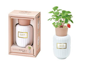 V| {^jJ tOX ChXgx[ GD-103003 v[g ͔|ZbgMtg