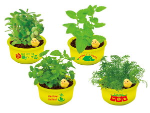 V| ĂJvZ 䉱Ńn[u͔| GD-1035 ͔|ZbgMtg v[g