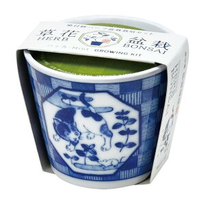 聖新陶芸 染付小紋 草花BONSAI ネコ ミント GD-102202 盆栽 ギフト 栽培セット ガーデニング 父の日 母の日