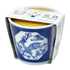 聖新陶芸 染付小紋 草花BONSAI シカ クリサンセマム GD-102203 栽培セット 母の日 盆栽 父の日 ガーデニング ギフト