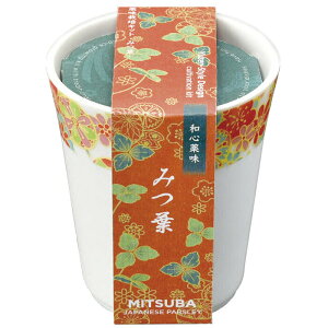 V| aS ݂t GD-104903 ͔|Zbg ̓ ̓ K[fjO Mtg