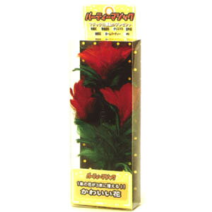 p[eB[ObY i }WbN 킢 CX^f 