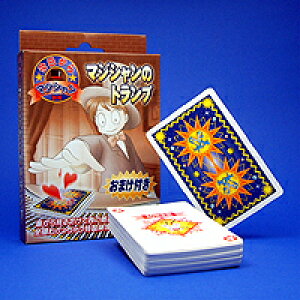 y[֑Ή1zp[eB[ObY i }WbN }WṼgvi}WVj CX^f 