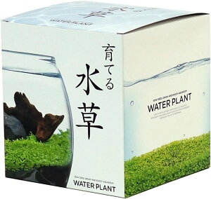 V| GD-813 Ă鐅 L v[g ii A͔|Zbg ̓ ̓ Mtg wK