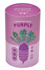聖新陶芸 GD-99401 カラフルミニ大根 京紫 植物栽培セット 母の日 父の日 ギフト プレゼント 景品 学習教材