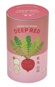 V| GD-99403 Jt~j卪 g ii A͔|Zbg ̓ ̓ Mtg wK v[g